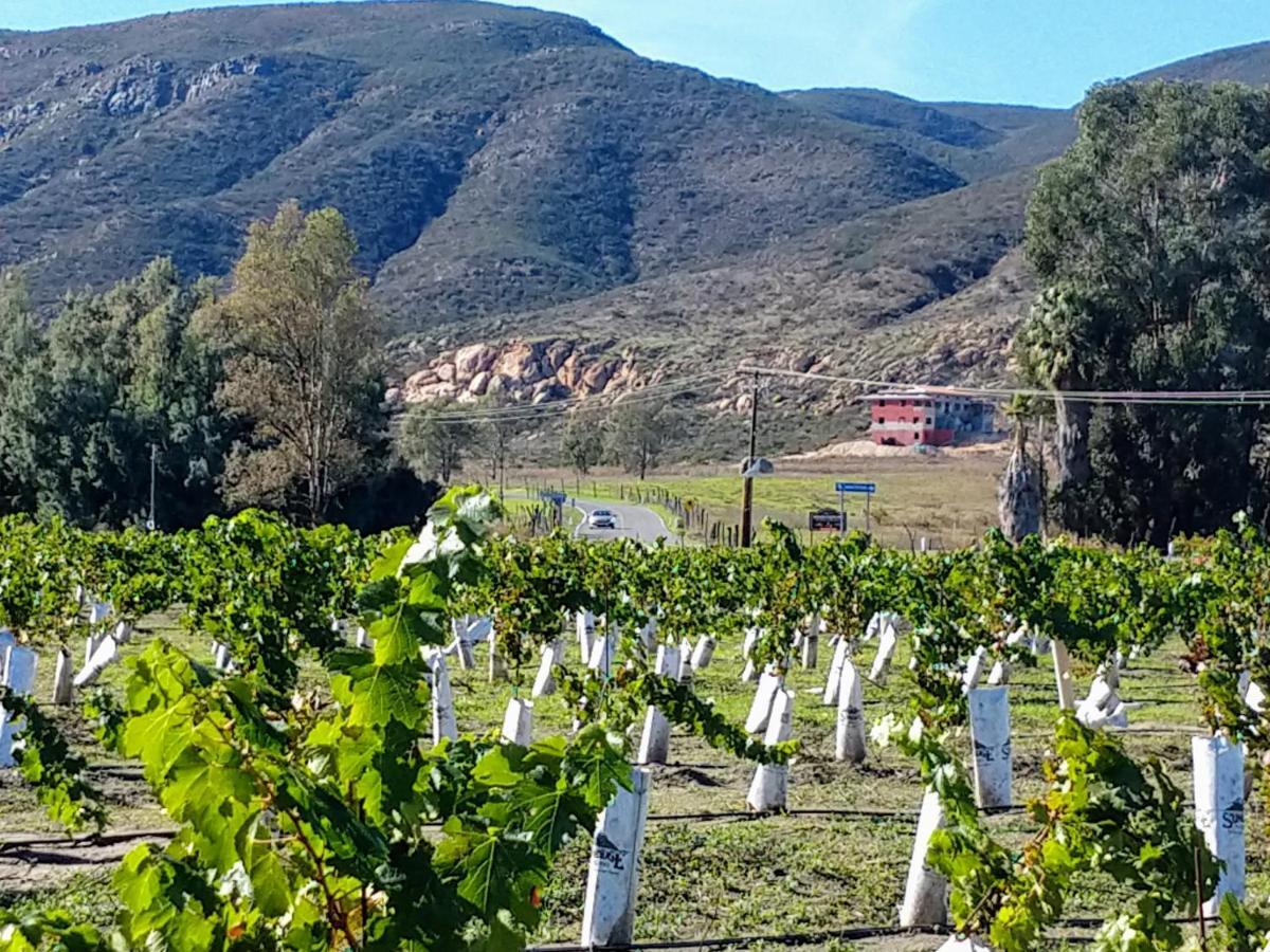 Fernabella's Lodge Valle de Guadalupe Esterno foto